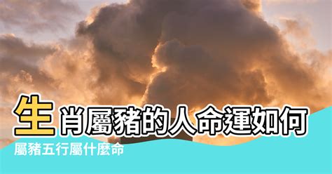 豬屬五行|生肖屬豬五行屬性的人性格命運「金、木、水、火、土」